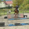 Babie Lato 2016
